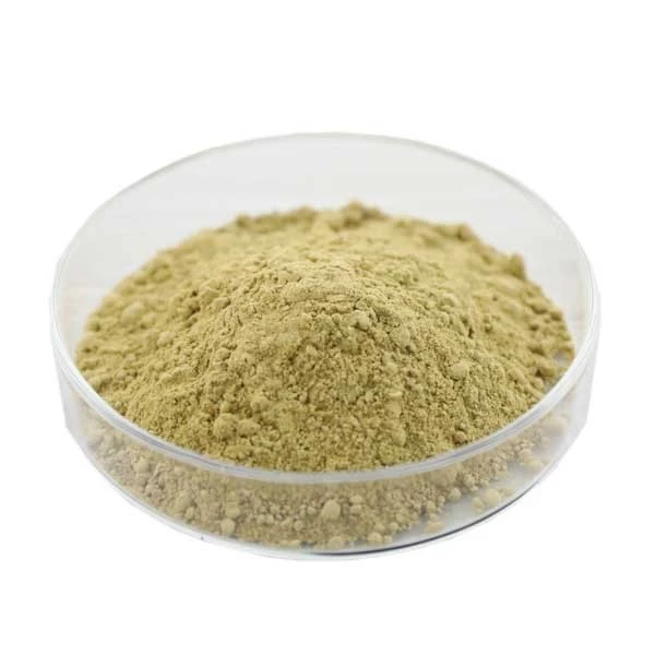সিজোকাইট্রিয়াম শৈবাল