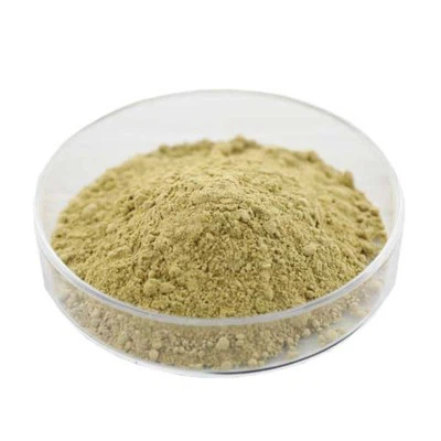 Lyophilized রয়্যাল জেলি পাউডার